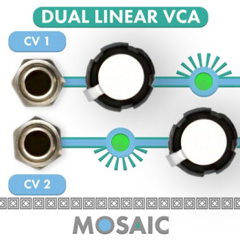 Mosaic Dual Linear VCA 1U