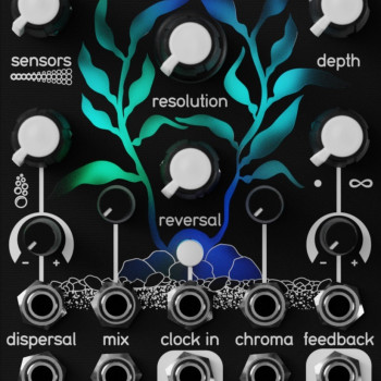 Qu-Bit Nautilus Black