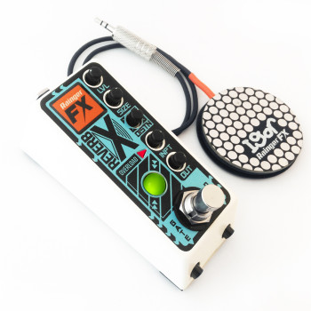 Rainger FX Reverb-X digital reverb (& Igor) mini-pedal