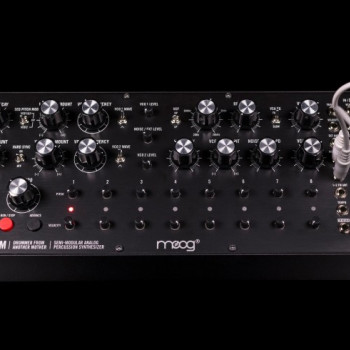 Moog DFAM 