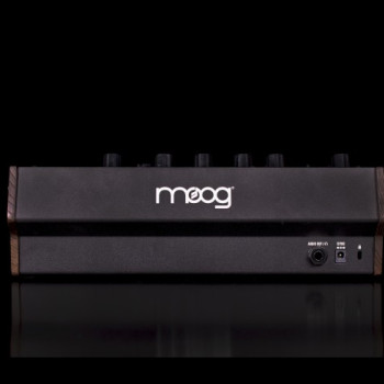 Moog DFAM 